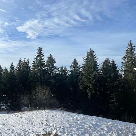 Chamrousse A 50M Des Pistes Appart 4/6 Экстерьер фото
