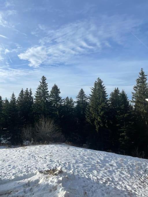 Chamrousse A 50M Des Pistes Appart 4/6 Экстерьер фото